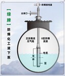 綠牌防爆化工潛泵0區(qū)防爆液下泵符合安監(jiān)應(yīng)急