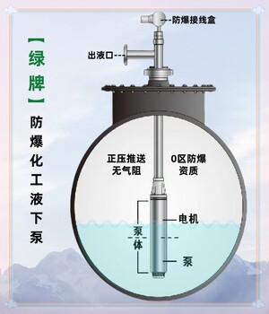 符合安監應急的液下屏蔽泵無(wú)泄漏無(wú)氣阻