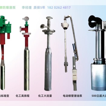 绿牌0区防爆化工潜泵Ga等级EPL