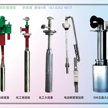 绿牌化工罐内免维护液下泵Ga等级EPL