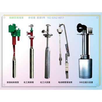 綠牌316L不銹鋼潛泵質(zhì)保5年