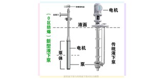 不锈钢潜泵Ga防爆化工液下泵图片4