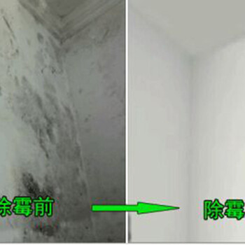 廣州芳村除霉，房屋深潔除霉，上門除霉服務