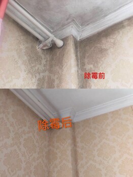 廣州南洲除霉公司，墻壁發(fā)霉處理，上門除霉???