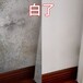 黃埔區永和除霉公司，墻壁霉菌清除，房屋除霉防霉