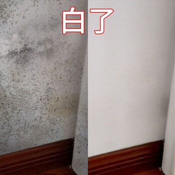 黃埔區永和除霉公司，墻壁霉菌清除，房屋除霉防霉