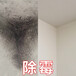 廣州天河天平架除霉公司，房屋除霉消毒，處理墻面發(fā)霉霉?jié)n