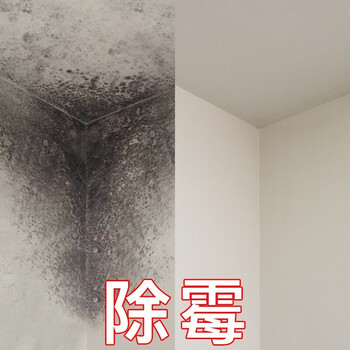 廣州天河天平架除霉公司，房屋除霉消毒，處理墻面發霉霉漬