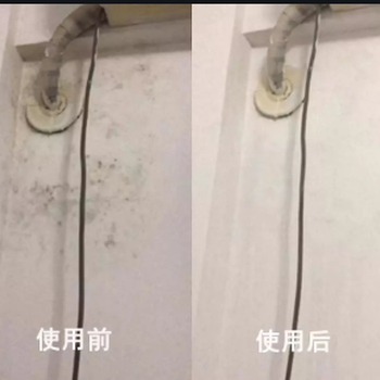 廣州除霉公司，白云區上門除霉除菌，快速清除天花墻壁發霉