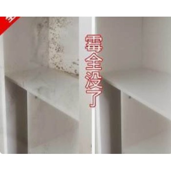 海珠區南華西除霉公司，樓房除霉，上門處理墻壁發霉發黑