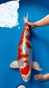 廣州清洗魚池，番禺魚池清洗，魚池水泵維修