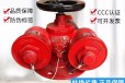 长沙多功能水泵接合器SQD100-1.6150消防水泵结合器厂家