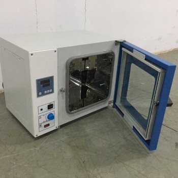 水果電熱烘干箱武漢食品烘箱