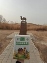 賽天山駝奶粉品牌面向全國火熱招商中