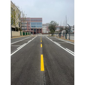 南京城市道路路內停車(chē)泊位設置劃線(xiàn)規范