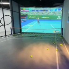 模拟网球