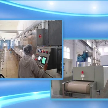 木耳碎片微波滅菌機(jī)