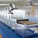 金絲筍微波殺菌機械
