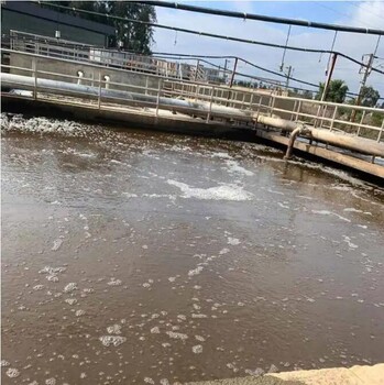 綿陽第三方廢水污水檢測機構(gòu)醫(yī)療廢水沙門氏菌檢測費用