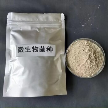 复合菌种污水处理菌剂降低COD/BOD去除SS/TN提供技术支持