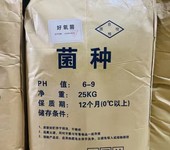 污水处理菌种微生物细菌降低CODBOD好氧菌成本低见效快