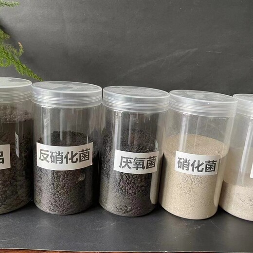 水处理菌种微生物菌剂好氧菌厌氧菌硝化菌反硝化菌提供技术支持