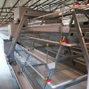 雞場自動化喂料機全自動化上料機跨斗式撿蛋機