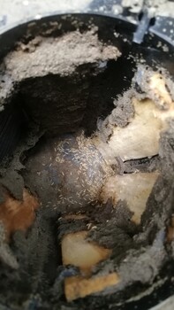 都江堰滅鼠公司都江堰殺蟲滅白蟻公司