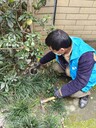 什邡滅老鼠公司什邡滅白蟻公司