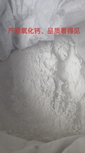 食品添加劑氧化鈣江西生產廠家圖片