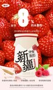 新疆乳制品產(chǎn)業(yè)酸奶系列全部出山