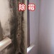 廣州天河天平架除霉公司，房屋除霉防霉服務，清潔墻面霉漬