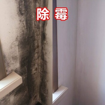 廣州天河天平架除霉公司，房屋除霉防霉服務，清潔墻面霉漬