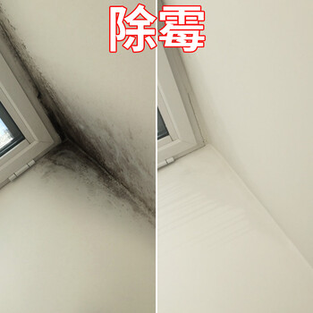海珠區客村除霉公司，房屋除霉防霉，墻面發霉處理