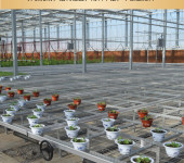 无土栽培移动式苗床莓种植温室育苗苗床多肉植物大棚种植移动苗床