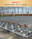 無土栽培移動式苗床莓種植溫室育苗苗床多肉植物大棚種植移動苗床