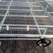 苗床網溫室大棚花卉移動熱鍍鋅網格育苗床生產加工誠業