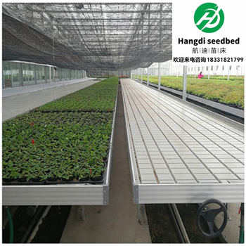 植物栽培新趨勢(shì)：潮汐苗床助力減少菌類侵染