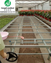 移動(dòng)苗床：解鎖溫室空間，讓種植面積提升80%