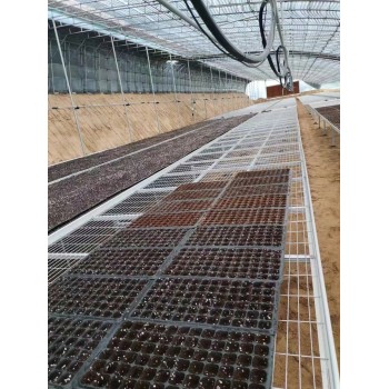 航迪大棚水稻育苗种子种植架种植镀锌网移动式苗床网