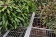 育苗种植热镀锌苗床架自动化物流苗床温室大棚灌溉种植架