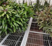 温室种植大棚栽培床铁丝网格网片架固定式种植网架