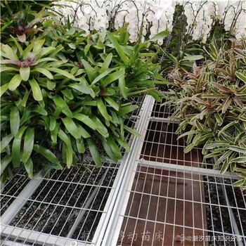 航迪大棚苗床網(wǎng)植網(wǎng)床瓜果蔬菜育苗網(wǎng)移動(dòng)育苗床廠(chǎng)家