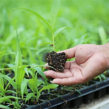 連棟溫室多層潮汐式苗床花卉水培盤灌溉式種植架廠家