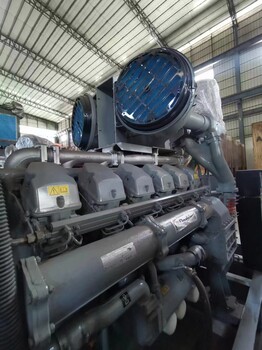 廣東1100kw東莞發(fā)電機(jī)出租_鼎新_進(jìn)口發(fā)電機(jī)出租公司_工廠備用