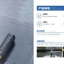 CM600型高彈液體卷材