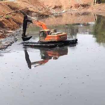 永新河道清淤挖机大型,水陆两用挖掘机租赁一站式服务