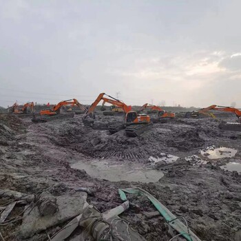 天水船挖機(jī)河道清淤價格價格多少,水陸挖機(jī)租賃一站式服務(wù)