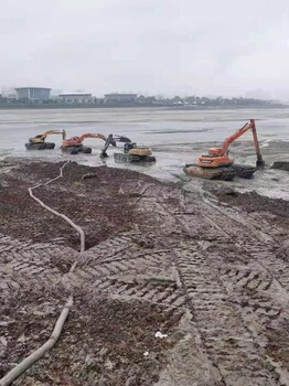 荆门钩机清理河道周边,水挖掘机租赁一站式服务