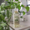云南省西雙版納州固體醋酸鈉廠家銷售，帆諾凈水
